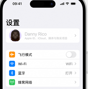 鄂温克appleID维修服务iPhone设置中Apple ID显示为灰色无法使用