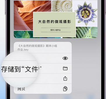 鄂温克apple维修中心分享iPhone文件应用中存储和找到下载文件