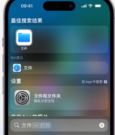 鄂温克apple维修中心分享iPhone文件应用中存储和找到下载文件