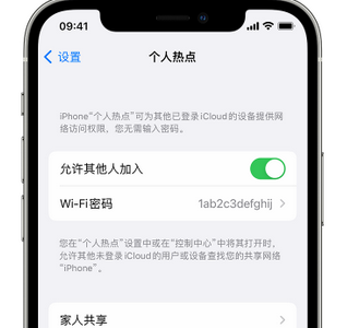 鄂温克apple服务站点分享iPhone上个人热点丢失了怎么办 