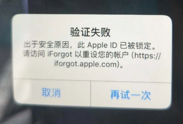 鄂温克iPhone维修分享iPhone上正常登录或使用AppleID怎么办 