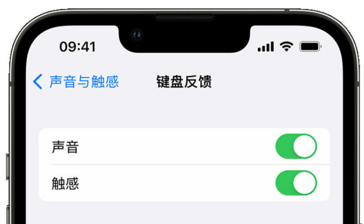 鄂温克苹果手机维修分享iPhone 14触感键盘使用方法 