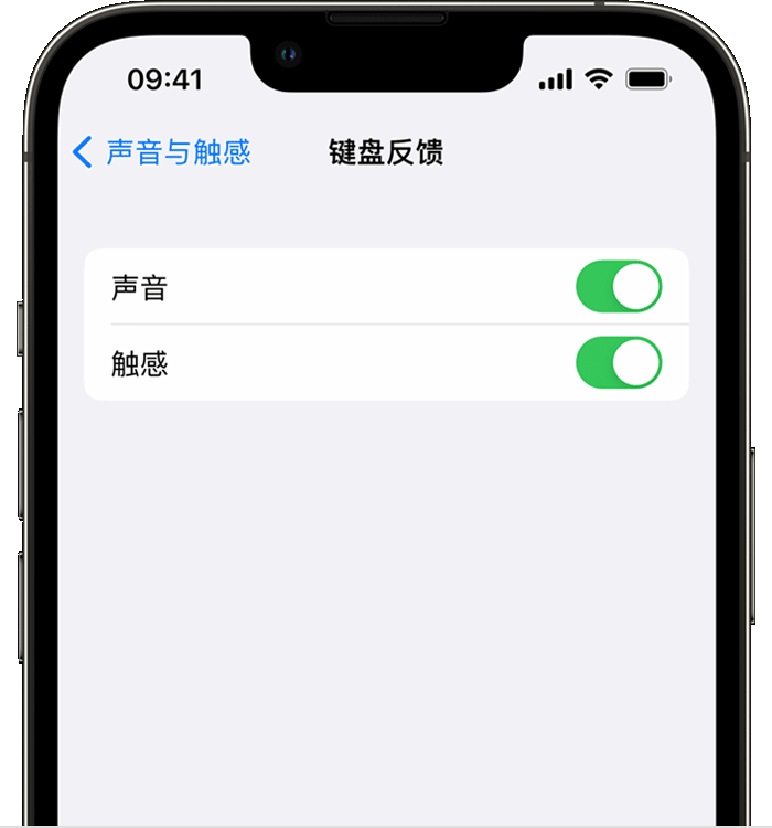 鄂温克苹果14维修店分享如何在 iPhone 14 机型中使用触感键盘 