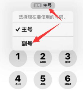 鄂温克苹果14维修店分享iPhone 14 Pro Max使用副卡打电话的方法 