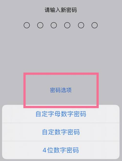 鄂温克苹果14维修分享iPhone 14plus设置密码的方法 