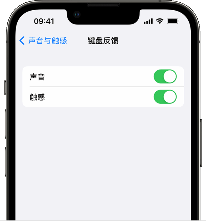 鄂温克苹果14维修分享iPhone 14 系列机型如何开启键盘声音或触感反馈 