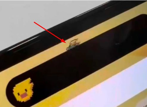 鄂温克苹果14维修分享iPhone 14 Pro Max灵动岛怎么养宠物 