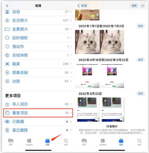 鄂温克苹果手机维修分享iOS 16 中相册重复项目功能使用方法 