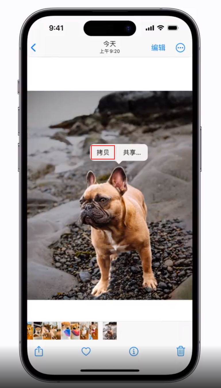 鄂温克苹果手机维修分享 iOS 16 自带一键抠图功能 