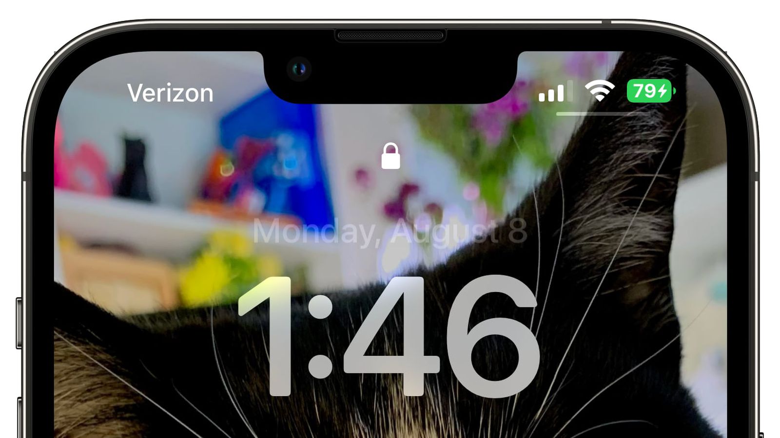 鄂温克苹果手机维修分享iOS 16 beta 5 支持状态栏显示电池百分比，如何开启？支持哪些机型 