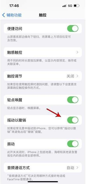 鄂温克苹果手机维修分享iPhone手机如何设置摇一摇删除文字 