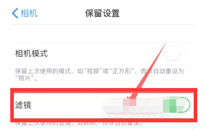 鄂温克苹果13维修分享iPhone13拍照有绿点是怎么回事 