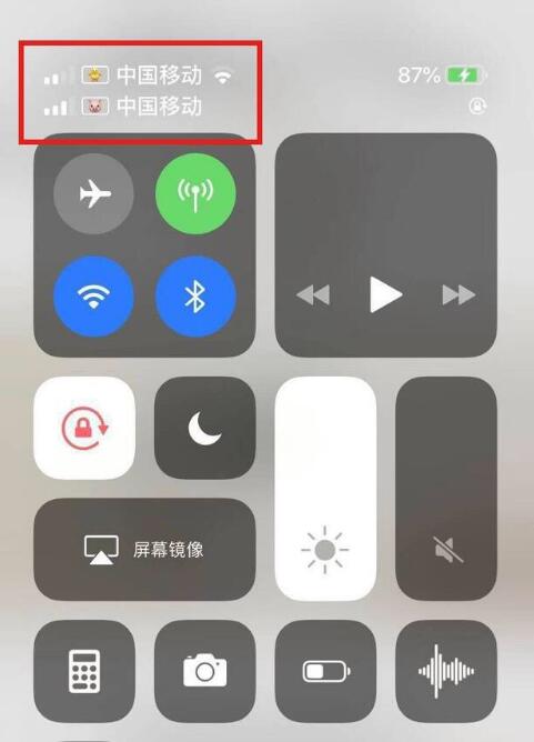 鄂温克苹果手机维修分享为 iPhone 12 双卡设置标签 