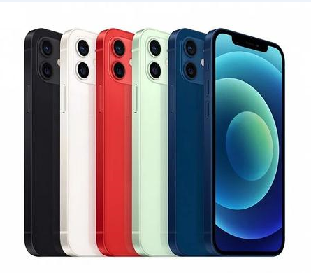 鄂温克苹果维修点分享iPhone 12 Pro Max黑屏冷门故障解读 