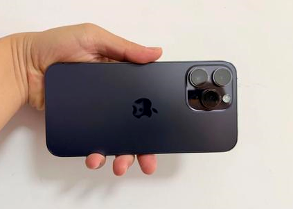 鄂温克苹果维修点分享iPhone 14 Pro Max黑屏少见故障盘点 